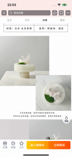 Crystal and Plant Symbiotic Mini Scene-283