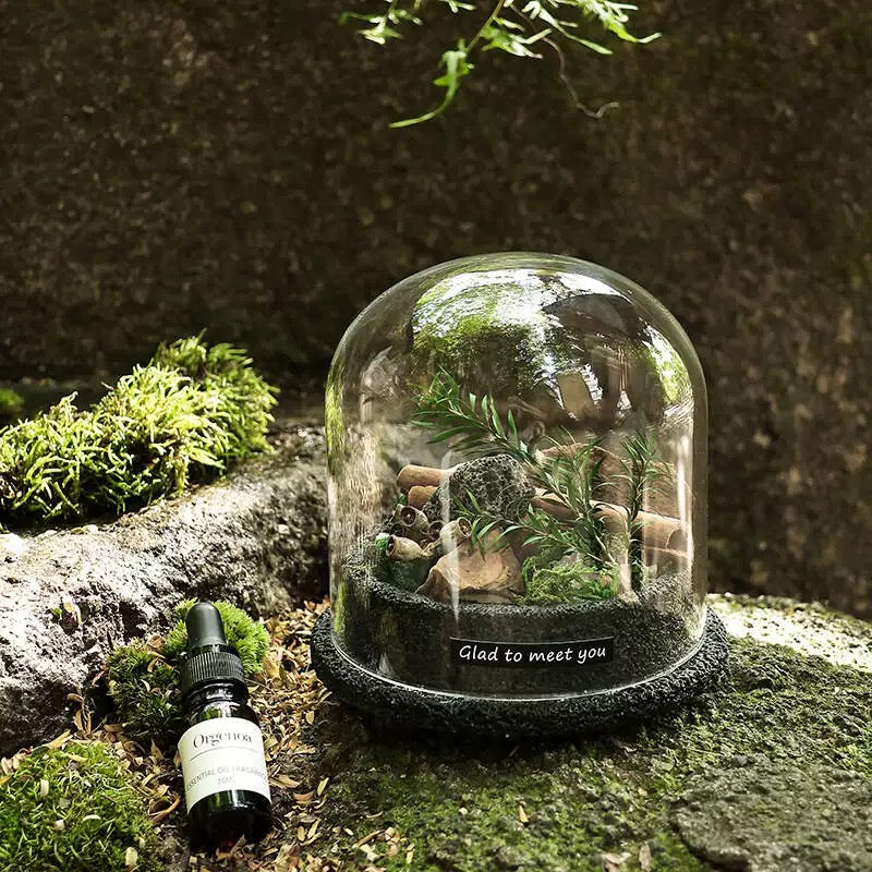 Crystal and Plant Natural Healing Miniature Scene-87