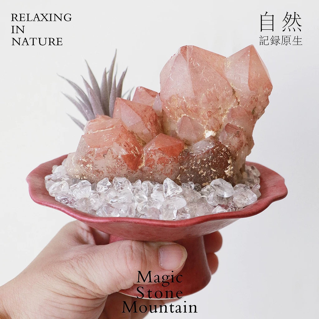 Crystal Chips and Plants Scene with Stone Base-458