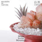 Crystal Chips and Plants Scene with Stone Base-458