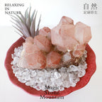 Crystal Chips and Plants Scene with Stone Base-458