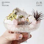 Crystal Chips and Plants Scene with Stone Base-458