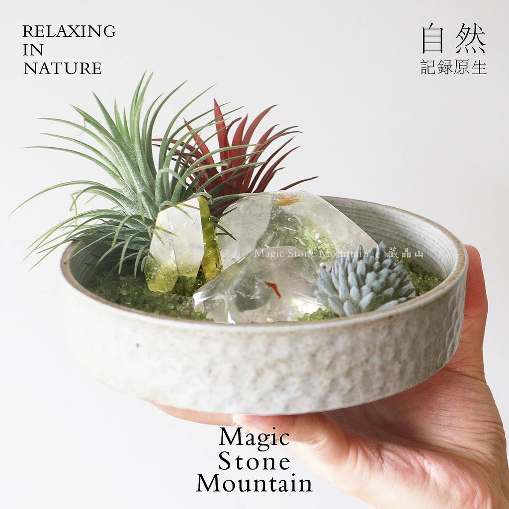 Crystal Chips and Plants Scene with Stone Base-458