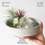 Crystal Chips and Plants Scene with Stone Base-458