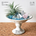 Crystal Chips and Plants Scene with Stone Base-458