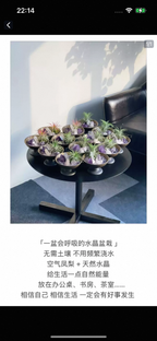 Energy Nook of Crystal Charm and Stone Base-163