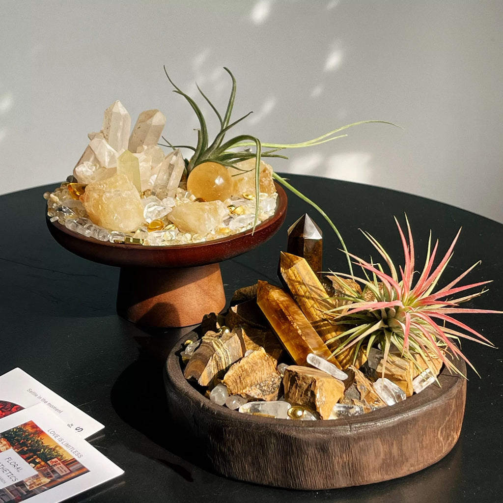 Crystal and Plant Energy - Accompanying Small Scene-253.91