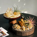 Crystal and Plant Energy - Accompanying Small Scene-253.91