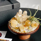 Crystal and Plant Energy - Accompanying Small Scene-253.91