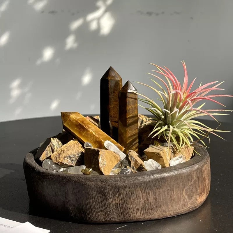 Crystal and Plant Energy - Accompanying Small Scene-253.91