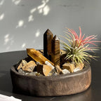 Crystal and Plant Energy - Accompanying Small Scene-253.91