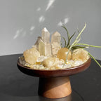Crystal and Plant Energy - Accompanying Small Scene-253.91