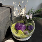 Crystal Gravel Accompanying Plants Energy Habitat-263.91