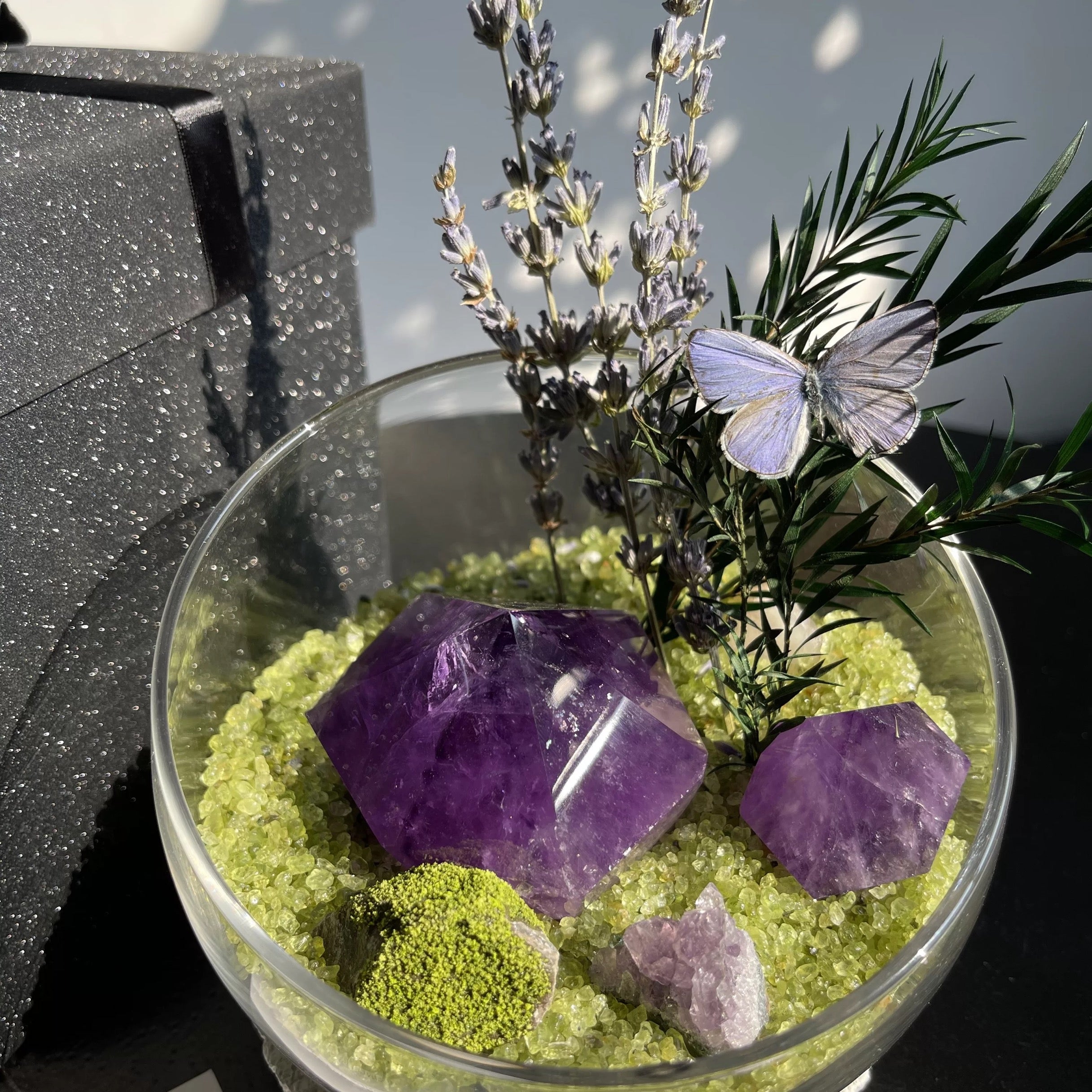 Crystal Gravel Accompanying Plants Energy Habitat-263.91