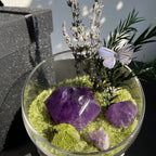 Crystal Gravel Accompanying Plants Energy Habitat-263.91