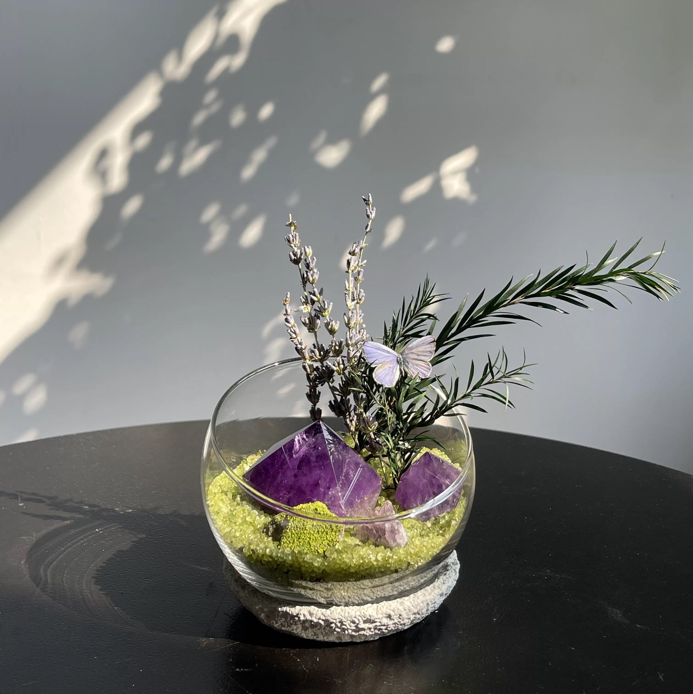 Crystal Gravel Accompanying Plants Energy Habitat-263.91