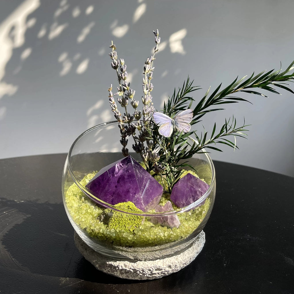 Crystal Gravel Accompanying Plants Energy Habitat-263.91