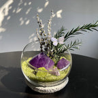 Crystal Gravel Accompanying Plants Energy Habitat-263.91