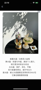 Crystal Chips and Starry Energy Nook-154