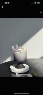 Crystal Chips and Starry Energy Nook-154