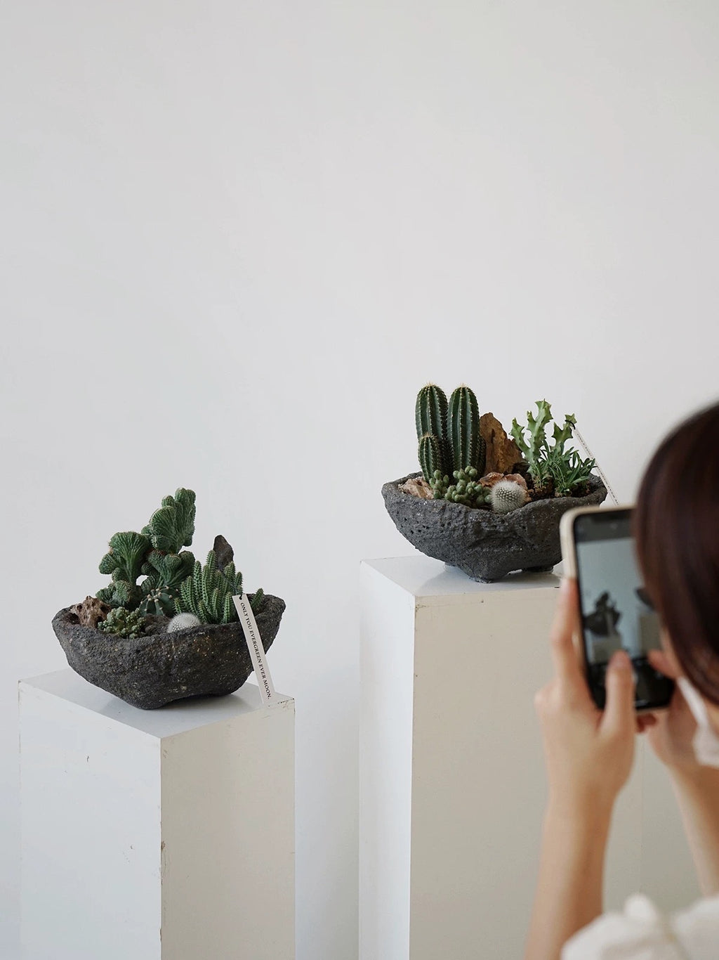 Natural Green Plant Energy Purification and Demagnetization Basin-149