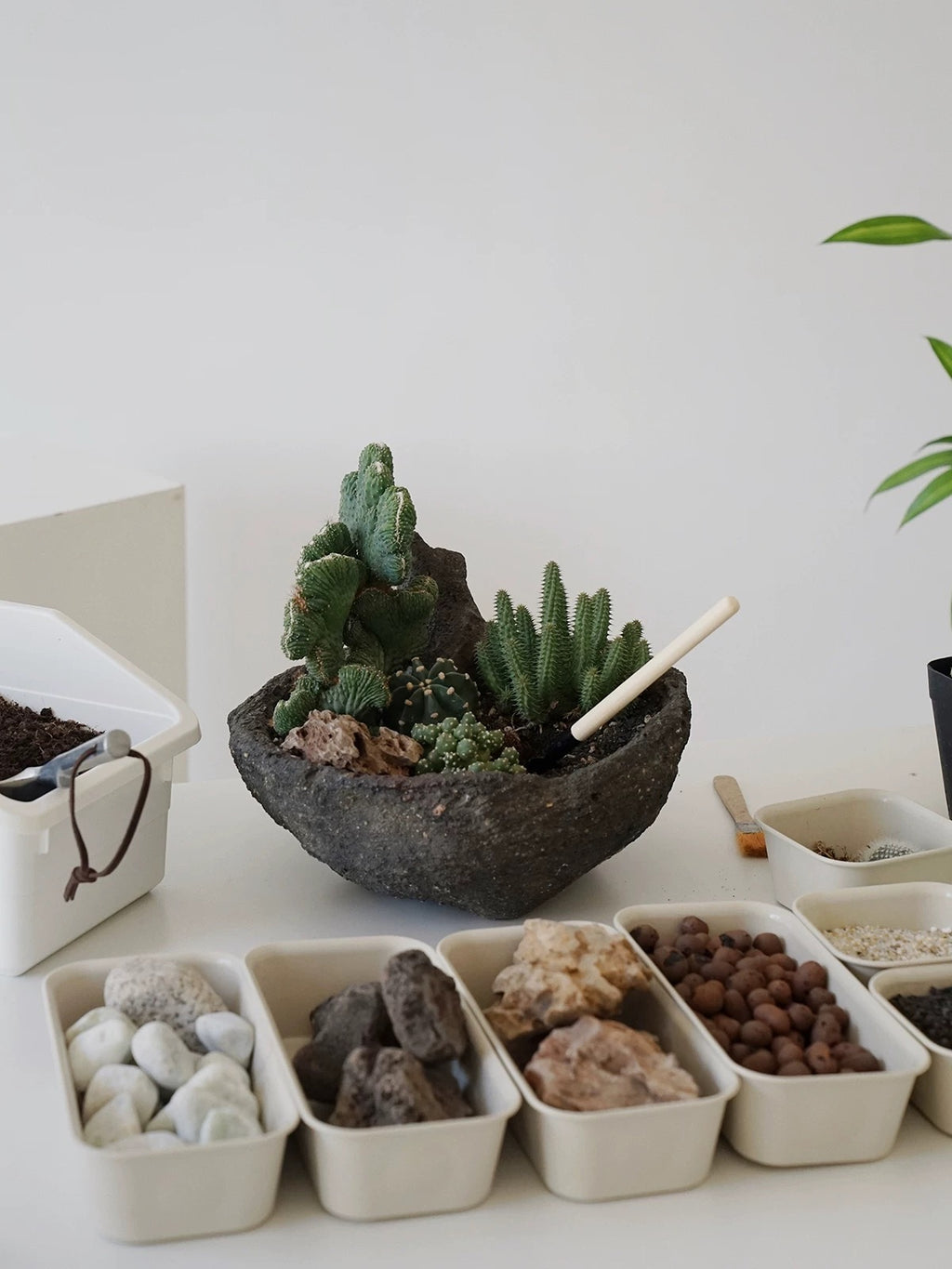 Natural Green Plant Energy Purification and Demagnetization Basin-149