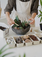 Natural Green Plant Energy Purification and Demagnetization Basin-149