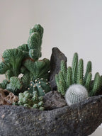 Natural Green Plant Energy Purification and Demagnetization Basin-149