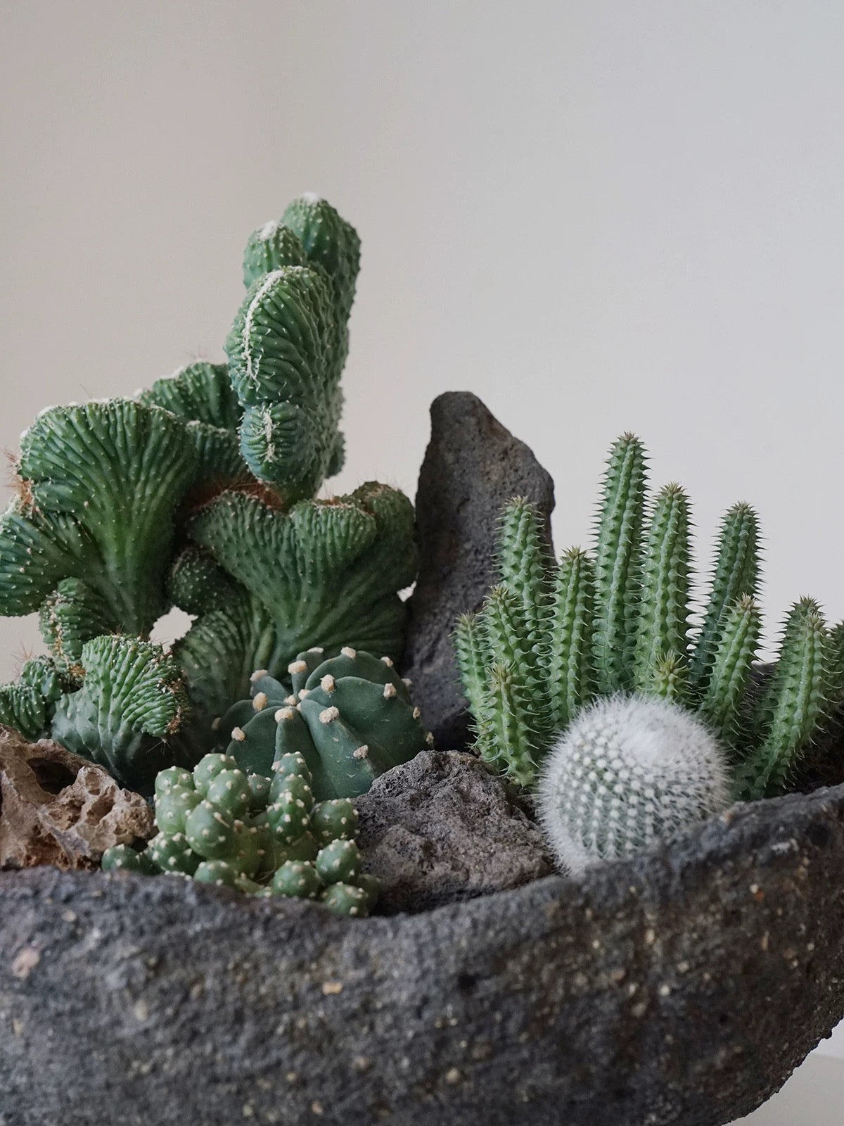 Natural Green Plant Energy Purification and Demagnetization Basin-149