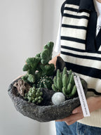 Natural Green Plant Energy Purification and Demagnetization Basin-149