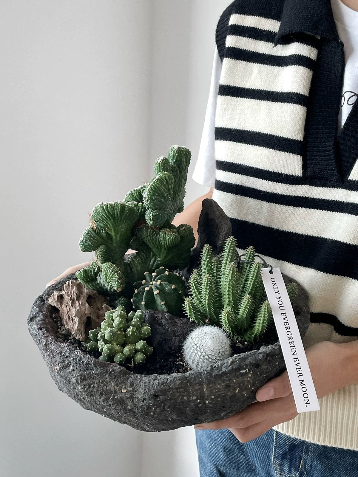 Natural Green Plant Energy Purification and Demagnetization Basin-149