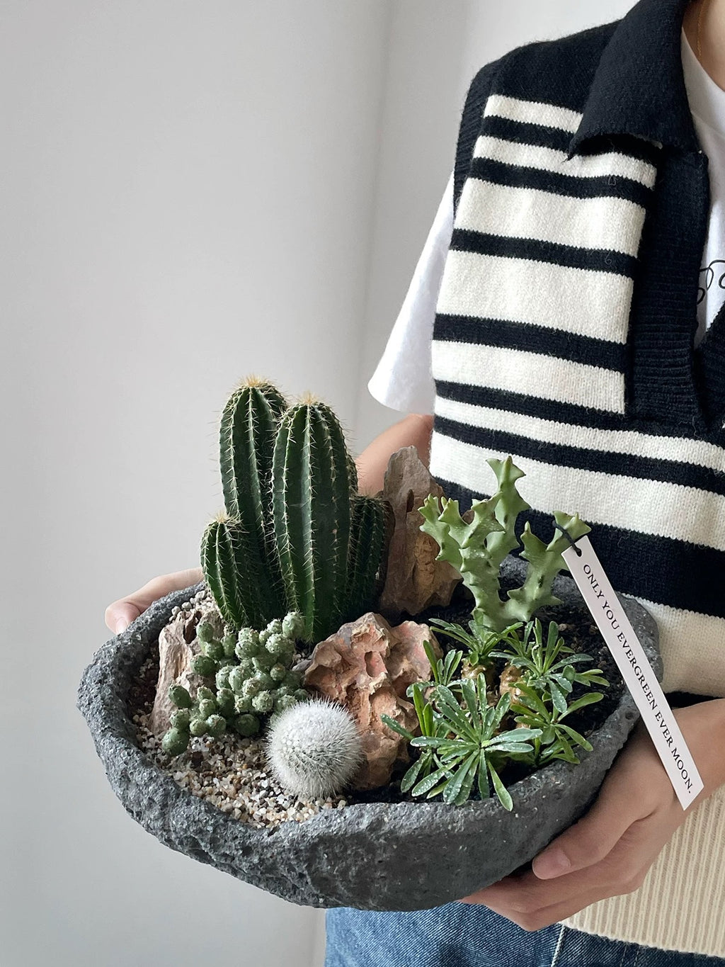 Natural Green Plant Energy Purification and Demagnetization Basin-149