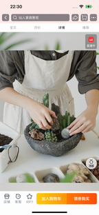 Natural Green Plant Energy Purification and Demagnetization Basin-149