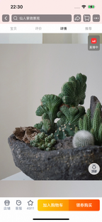 Natural Green Plant Energy Purification and Demagnetization Basin-149