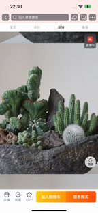 Natural Green Plant Energy Purification and Demagnetization Basin-149