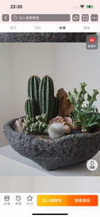 Natural Green Plant Energy Purification and Demagnetization Basin-149