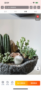 Natural Green Plant Energy Purification and Demagnetization Basin-149