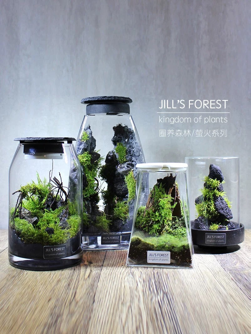 Moss-purified potted plants-219