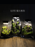 Moss-purified potted plants-219