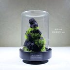 Moss-purified potted plants-219