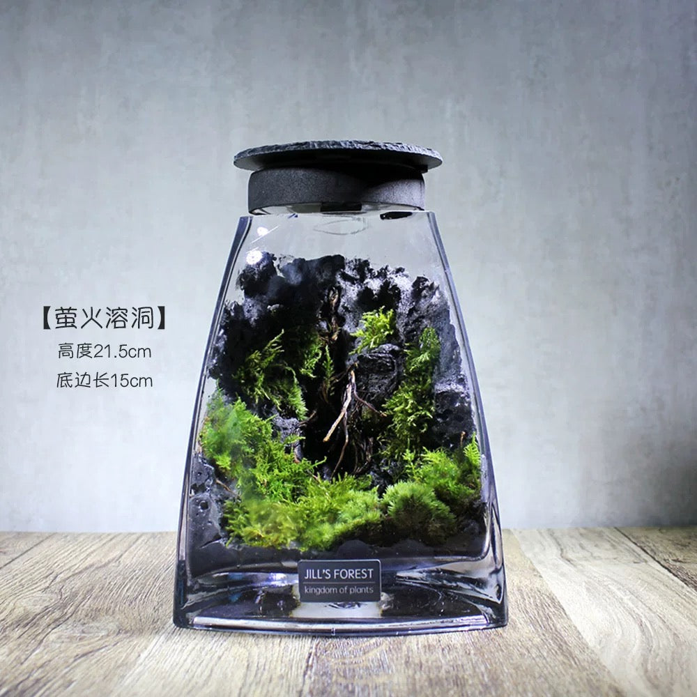 Moss-purified potted plants-219