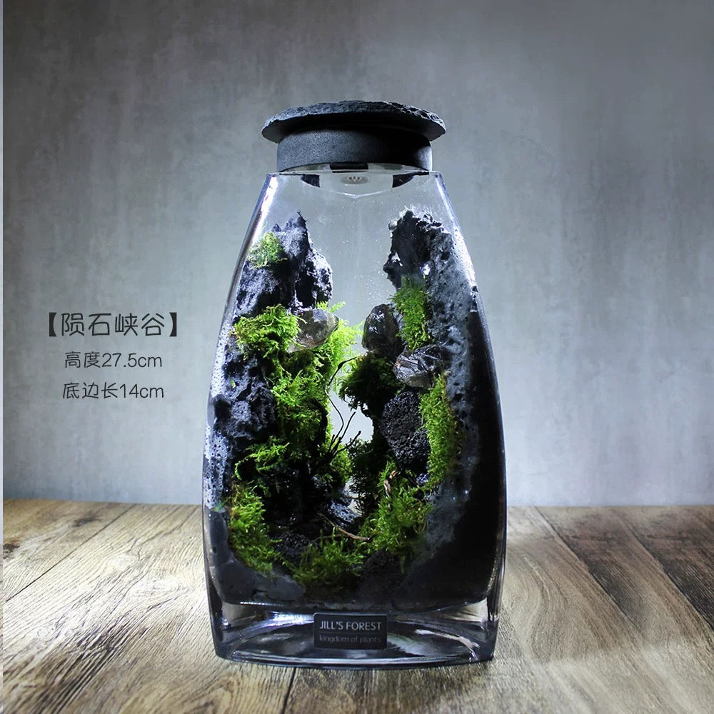 Moss-purified potted plants-219