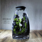 Moss-purified potted plants-219