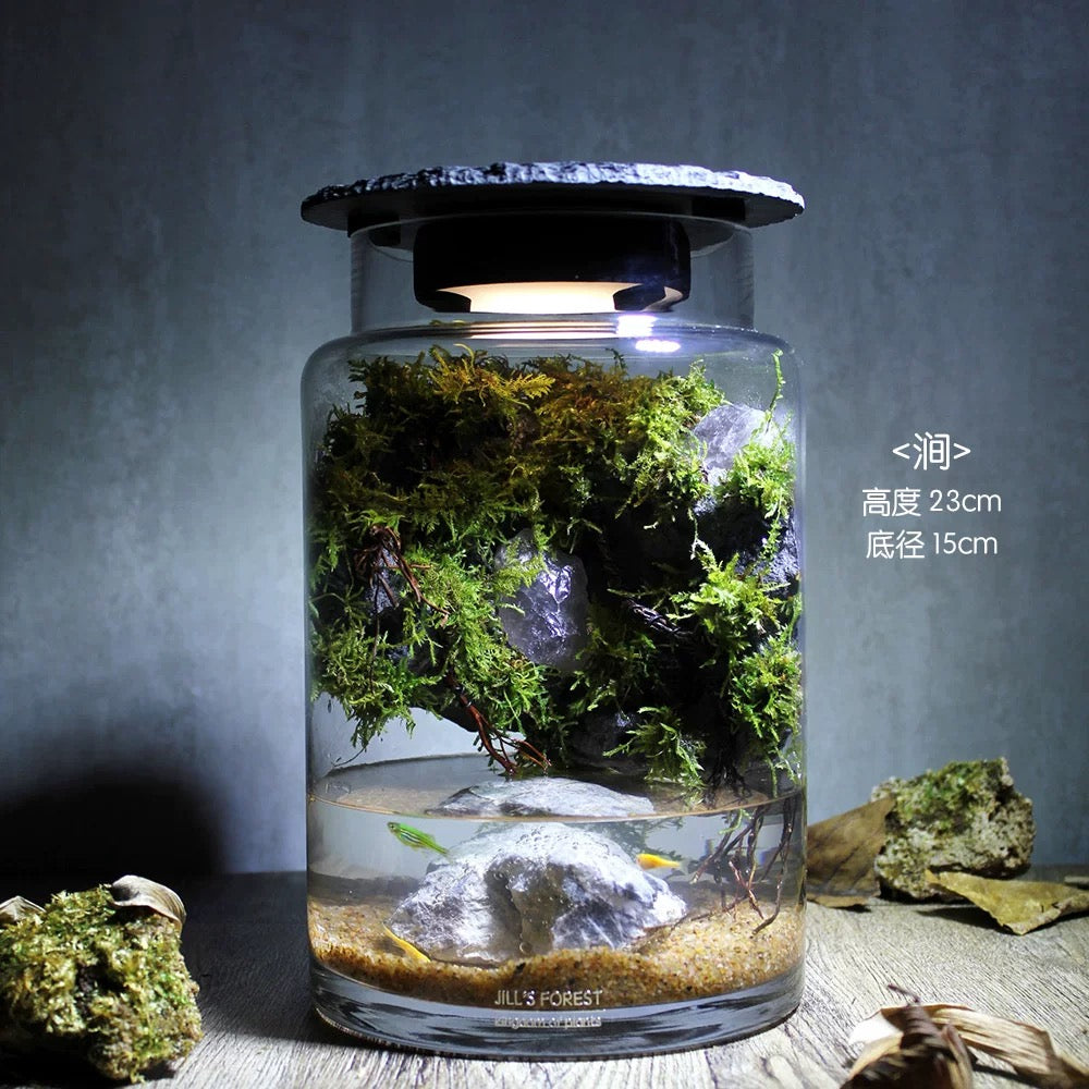 Moss-purified potted plants-219