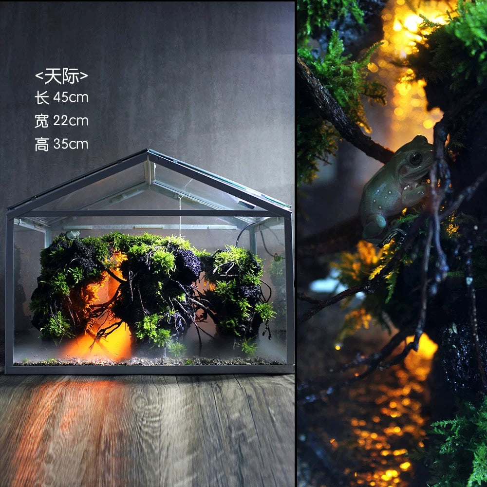 Moss-purified potted plants-219