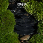 Moss-purified potted plants-219