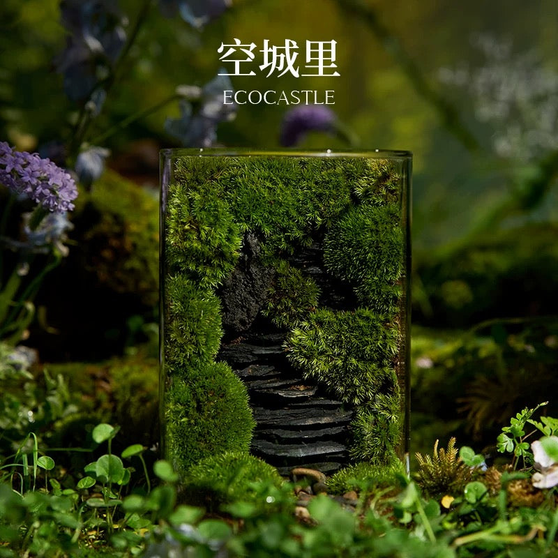 Moss-purified potted plants-219