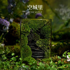 Moss-purified potted plants-219