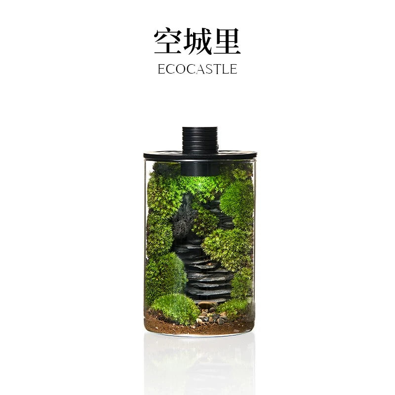 Moss-purified potted plants-219