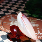 Natural shell colored tray-95